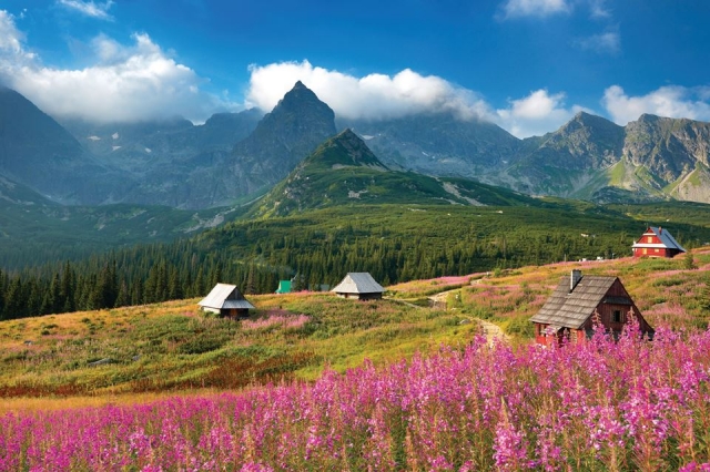  Camicrema guiada vacaciones en Zakapone y los Tatras polacos 